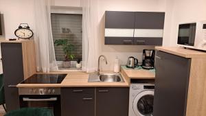 Appartment-Ferienwohnug mit Küche, Bad, kostenlos WLAN, Modern eingerichtet
