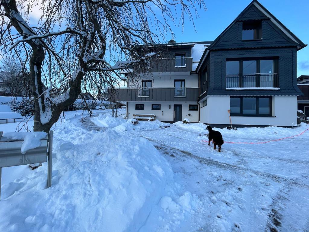 Maison d'hôtes Astrid's Pension Astenstr. 2 59955 Winterberg