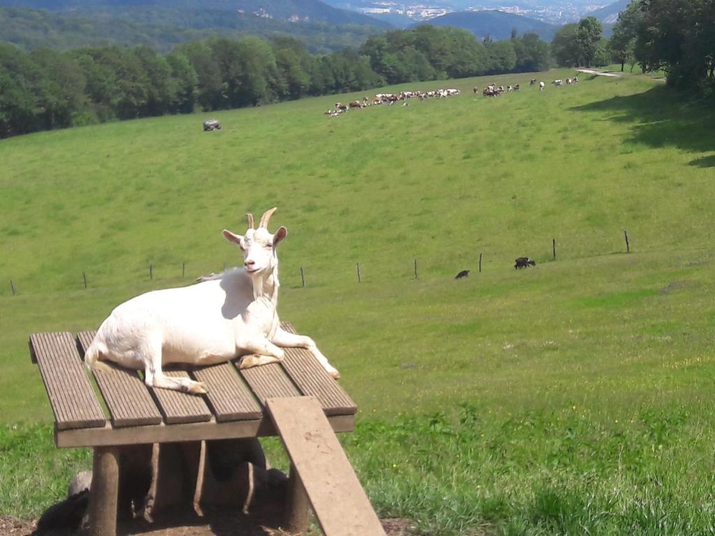 Maison d'hôtes Au Doubs Repos . Route de Quingey 25320 Vorges-les-Pins