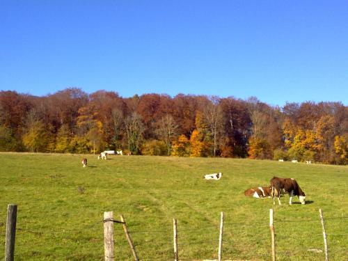 Au doux Doubs