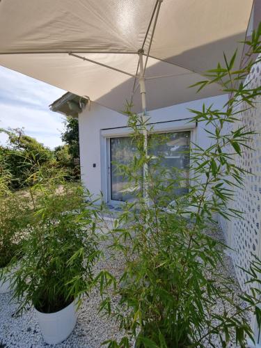 Au Jardin de la Saudrune