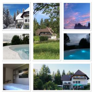 Maison d'hôtes B & B Der Waldvogel Römerstr. 13 79737 Herrischried Bade-Wurtemberg