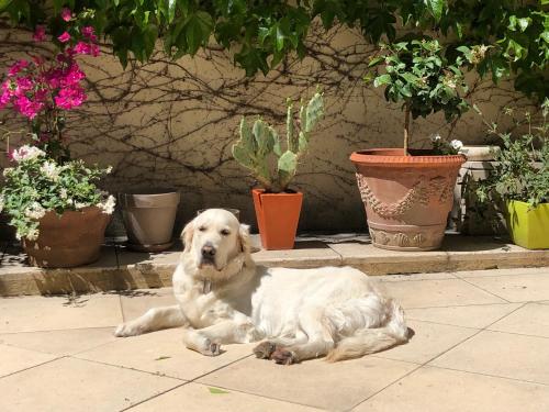 B&B Villa de Margot