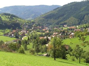 Maison d'hôtes Bäuerlehof Sommerseite 55 77889 Seebach Bade-Wurtemberg