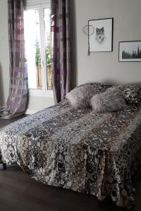 Belle chambre au calme centre Montpellier