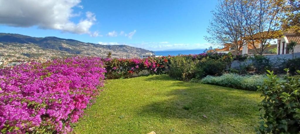 Belvedere Boutique - Adults only Caminho do Avista Navios, nº 11, 9000-130 Funchal