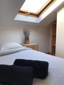 Bica Mini Hostel