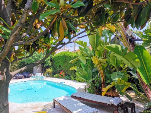 Blue Dream Cannes Guest House