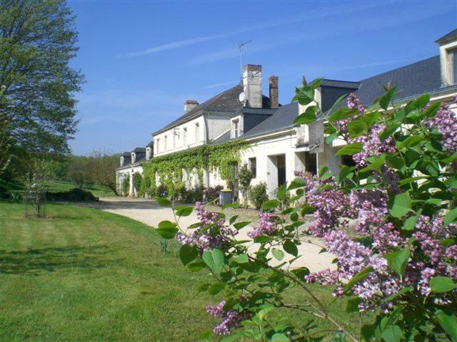 Cafe-Pension Waldesruh