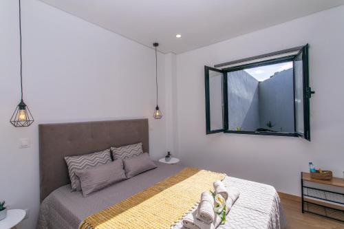 Carvão PDL Inn