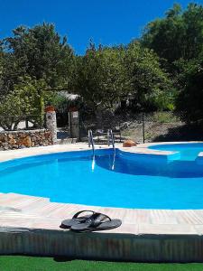 Casa Adega - Quinta Amoreira