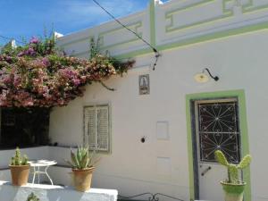 Casa Da Cabeça