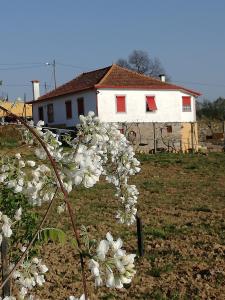 Maison d'hôtes Casa da Vinha Grande Travessa da Carrasqueira 21 5050-344 Poiares Région Nord