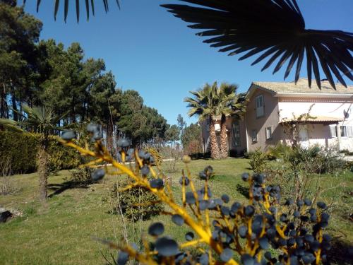 Casa do soito