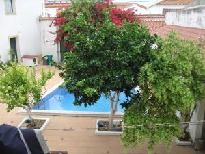 CASA VERDE