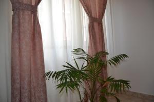 Casa Vintage Guest House