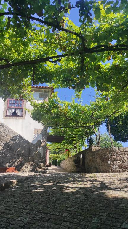 Casas da Quinta da Cancela Rua Cândido Batista de Sousa, 275, 4905-031 Balugães