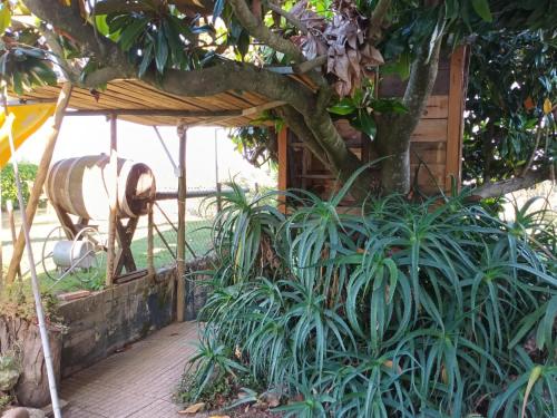 Casita da Floresta