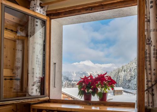 Chalet Bluebell