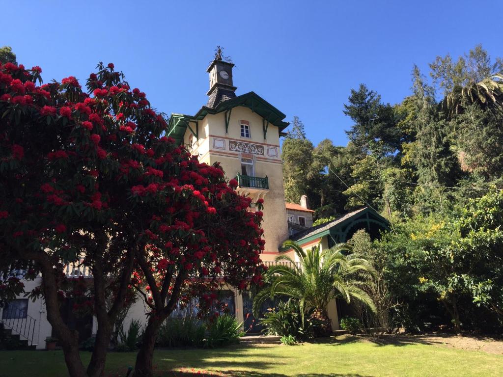 Maison d'hôtes Chalet Relogio Guesthouse Estrada Da Pena Nº 22 2710-609 Sintra