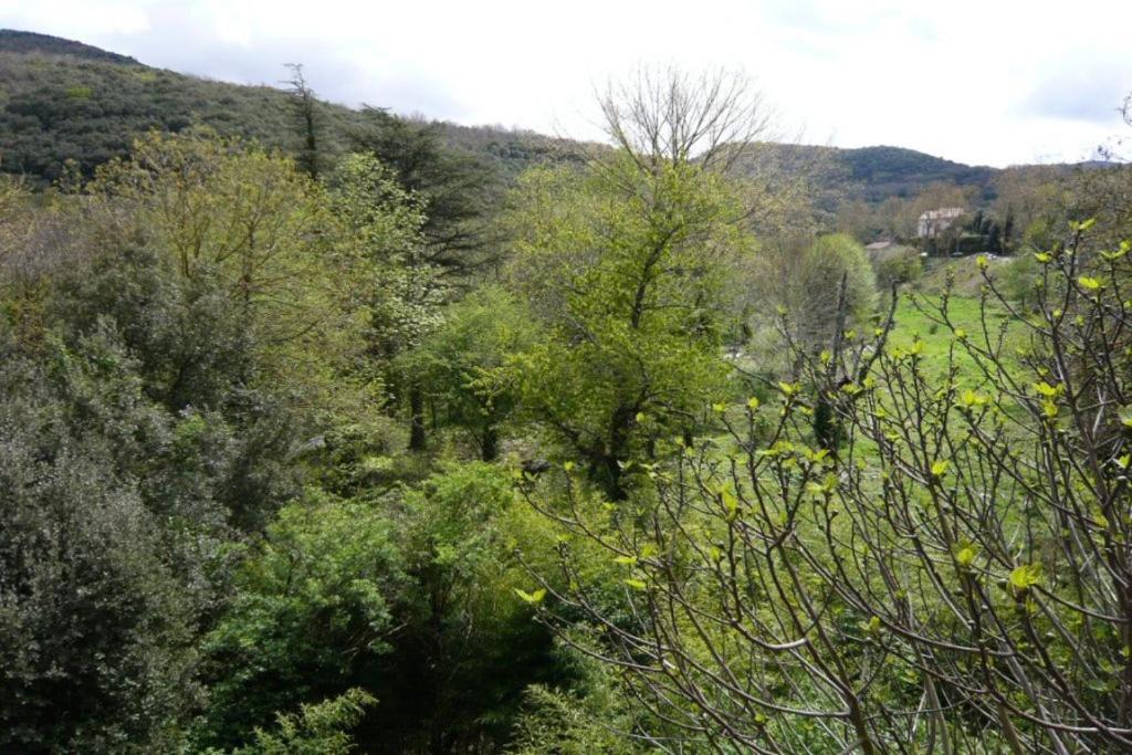 Chambre à Ponderach, dans un domaine du 17è siècle en pleine nature Avenue de Narbonne, 34220 Saint-Pons