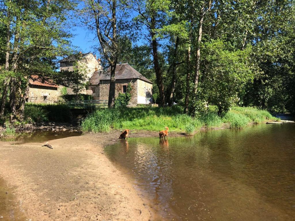 Maison d'hôtes Chambre d'hôte Moulin du Breuil. 1Moulin du Breuil 23140 Pionnat