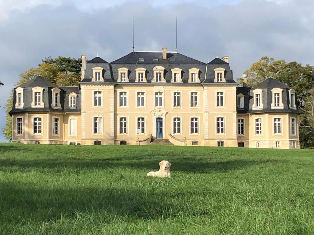 Maison d'hôtes chambre zen château de la Bouchatte 48 Route de la chapelaude Chemin de la Bouchatte 2 03370 Chazemais