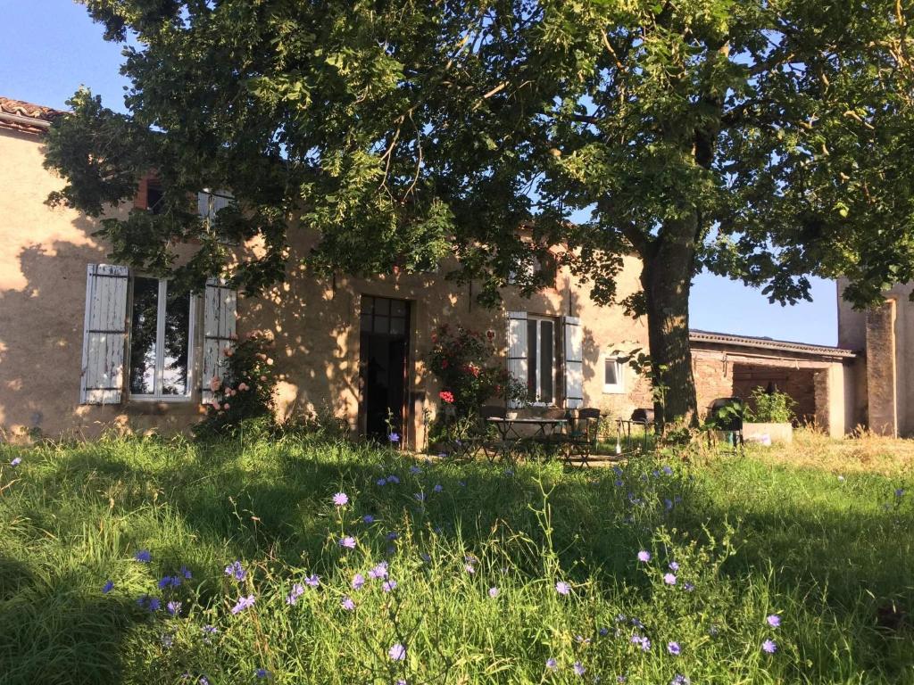 Chambres d'hôtes Les Pieds dans l'herbe 294 Le Puech, 81340 Saint-Julien-Gaulène