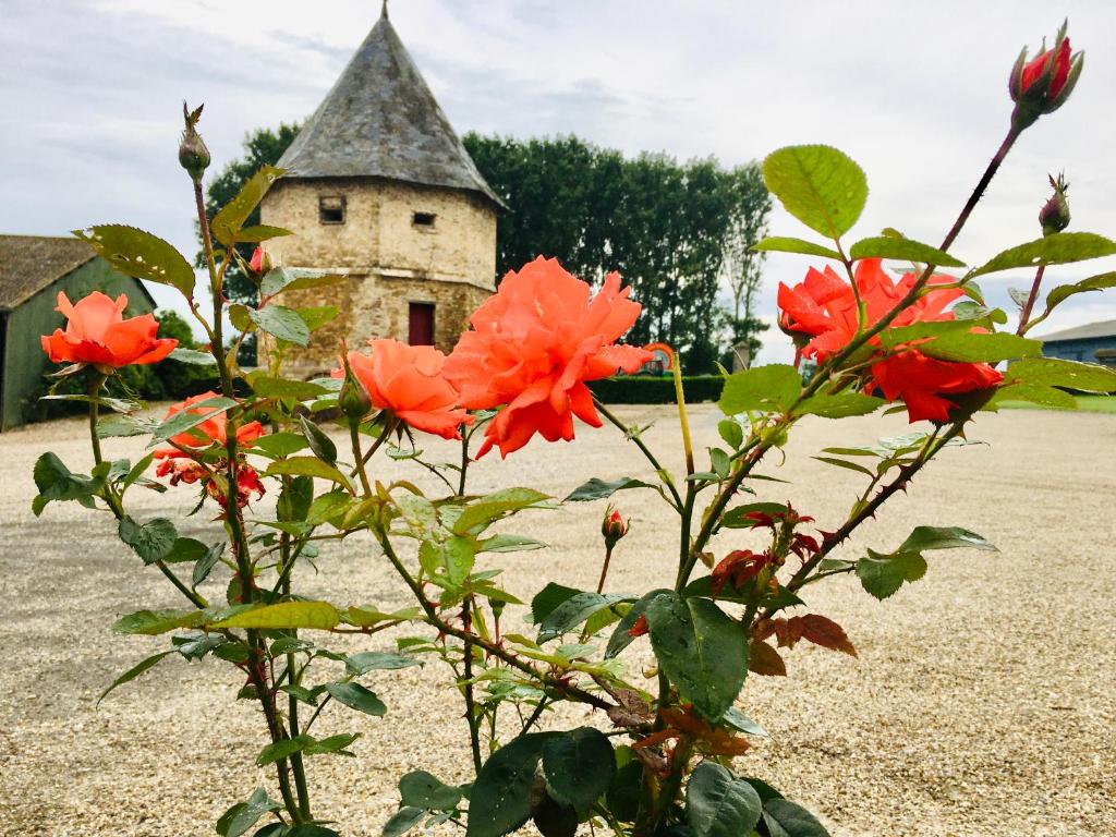 Maison d'hôtes Chambres dhotes a la ferme Ferme de la Mottelette 80120 Forest-Montiers