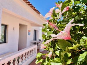 Charm of the Algarve, Luxury Guesthouse Adults Only