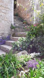 Charme et jardin cœur St Cirq - Appartements