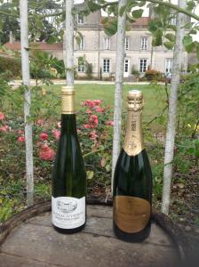 Chateau d'Yseron