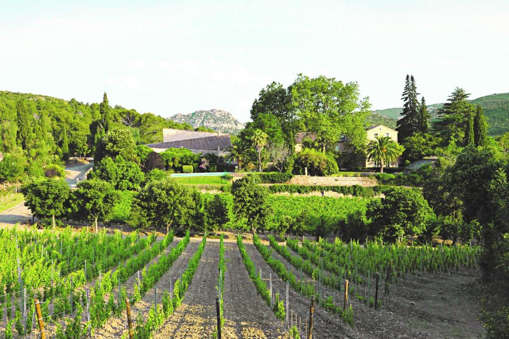 Maison d'hôtes Château Haut Gléon Domaine de Gléon le Haut 11360 Villesèque-des-Corbières