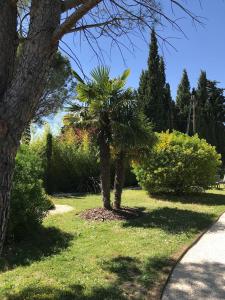 Cherche Midi