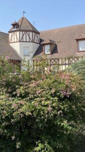 Chez Nenette