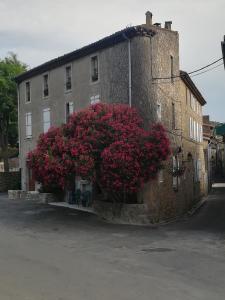 Maison d'hôtes Chez Shona 1 Rue Magene 11220 Lagrasse Languedoc-Roussillon