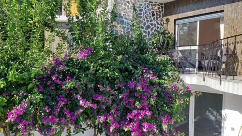 Colina Guesthouse - Braga