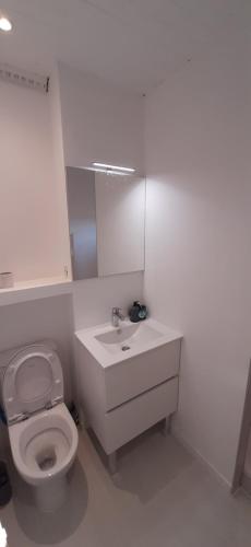 Colocation maison - Villeurbanne près de Lyon