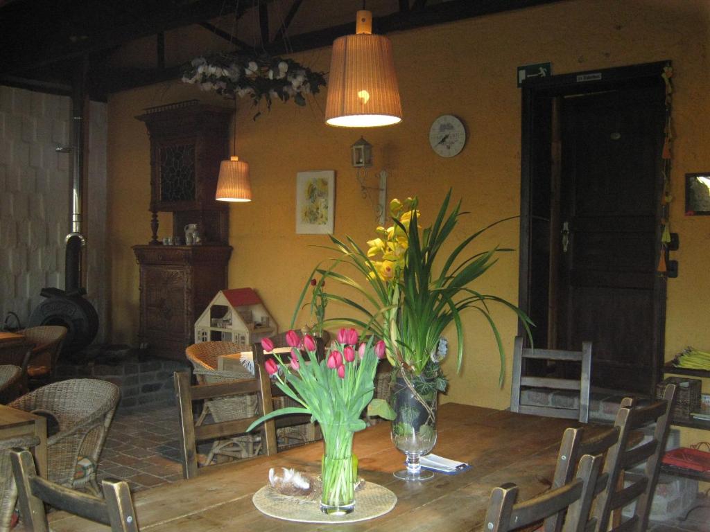 Die bunte Kuh in Federow Damerower Straße 8, 17192 Kargow