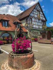 Maison d'hôtes Domaine Bleger by Windmuehl 92 ROUTE DU VIN 68590 Saint-Hippolyte Alsace