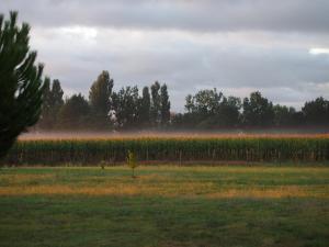Domaine de Basse Chancelée