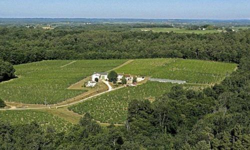 Domaine de Grand Homme 1 Grand Homme, 33540 Blasimon