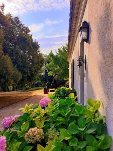 Domaine de la Limetiere