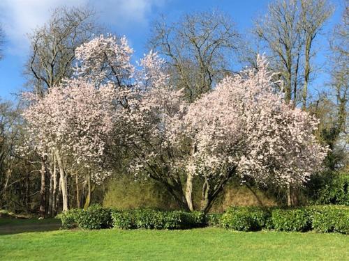 Domaine de Macque, BETZ, 25 mns Roissy CDG