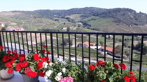 Domaine Du Coteau Des Lys