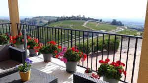 Domaine Du Coteau Des Lys