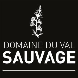 Maison d'hôtes Domaine du Val Sauvage 1145 Chemin Des Archers 37130 Langeais Région Centre