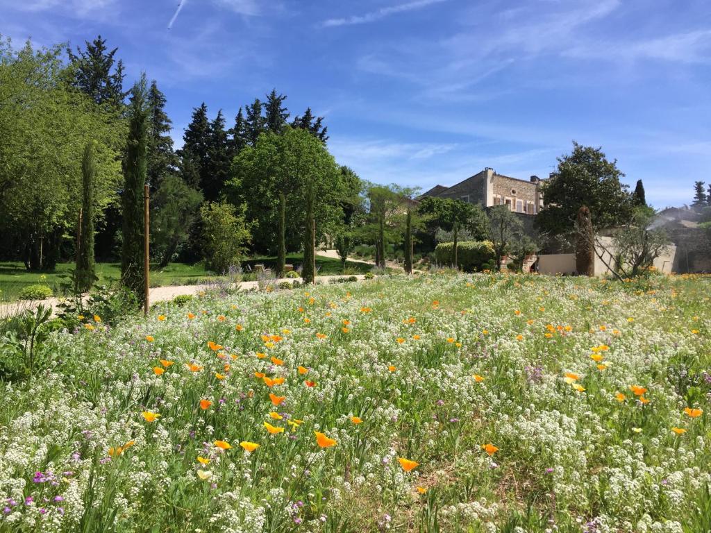 Domaine Les Martins - Gordes Les Martins, 84220 Gordes