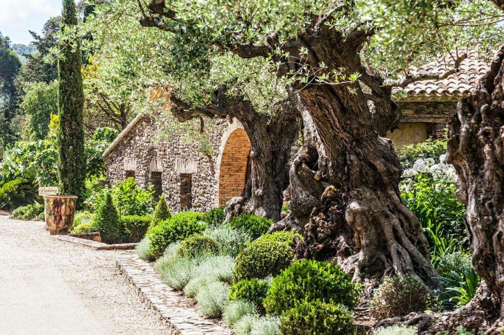 Maison d'hôtes Domaine Les Mésanges Allée du Vivier 83580 Saint-Tropez