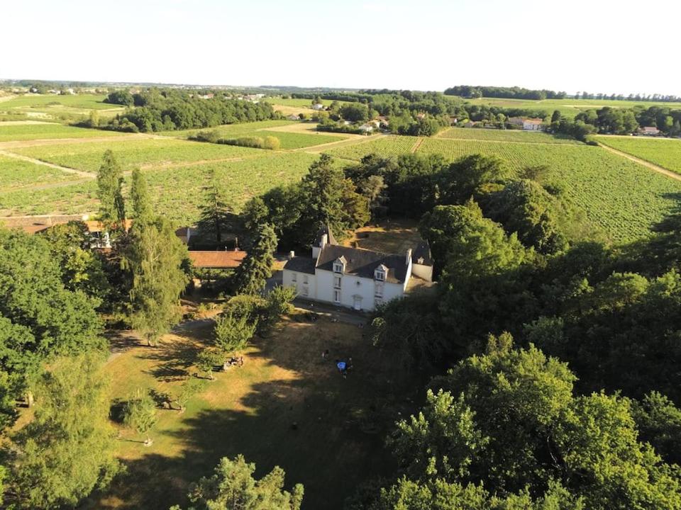 Maison d'hôtes Du Vignoble à l'Atlantique - Château Cassemichère gîte La Cassemichere 44330 La Chapelle-Heulin